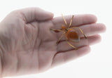 Itsy Bitsy Spider - Vintage Retro Gold Plated Natural Amber Spider Brooch (VBR273)