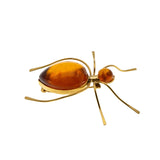Itsy Bitsy Spider - Vintage Retro Gold Plated Natural Amber Spider Brooch (VBR273)