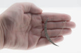 Shimmering Moon - Victorian English Sterling Silver Paste Crescent Moon Brooch (VICBR038)