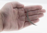 Shimmering Moon - Victorian English Sterling Silver Paste Crescent Moon Brooch (VICBR038)