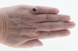 Garnet Femininity - Vintage 14K White Gold Natural Garnet & Diamond Flower Ring (VR1016)