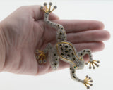 Froggy Prince - Vintage Gold Plate Over Silver Crystal Rhinestone Black Enamel Frog Brooch (VBR307)