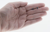 Brilliant Skies - Estate 14K White Gold Natural Blue Sapphire Stud Earrings (EE213)