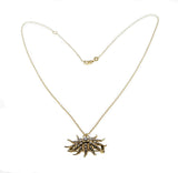 Sunburst - Victorian 14K Gold Natural Pearl Pendant/Brooch & Chain (VICP108)