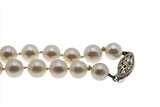 Timeless - Vintage 14K White Gold Japanese Cultured Saltwater Akoya Pearl Necklace Strand (VN186)