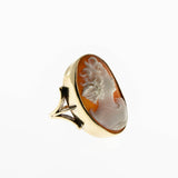 Edwardian Beauty - Edwardian English Signed Hand-Carved Conch Shell Cameo Portrait Ring (EDR074)