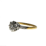 Recently Sold  (ADR220)